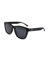 The Santa Cruz Mens Coastal Sunglasses in Sand Black & Black