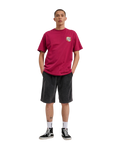 The Santa Cruz Mens Flaming Dice Dot T-Shirt in Burgundy