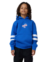 The Santa Cruz Boys Boys OGSC Sports Hoodie in Ultramarine