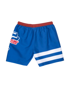 The Santa Cruz Boys Boys OGSC Sports Swimshorts in Ultramarine