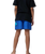 The Santa Cruz Boys Boys Screaming Hand Swimshorts in Ultramarine