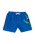 The Santa Cruz Boys Boys Screaming Hand Swimshorts in Ultramarine