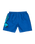 The Santa Cruz Boys Boys Screaming Hand Swimshorts in Ultramarine