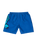 The Santa Cruz Boys Boys Screaming Hand Swimshorts in Ultramarine