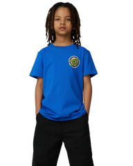 The Santa Cruz Boys Boys Rob Smasher T-Shirt in Ultramarine
