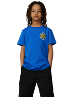 The Santa Cruz Boys Boys Rob Smasher T-Shirt in Ultramarine