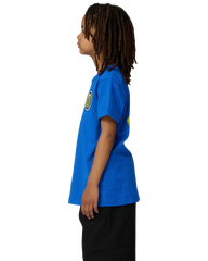 The Santa Cruz Boys Boys Rob Smasher T-Shirt in Ultramarine