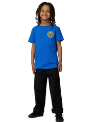 The Santa Cruz Boys Boys Rob Smasher T-Shirt in Ultramarine