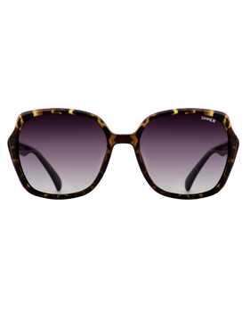 The Sinner Sunglasses Montara Polarised Sunglasses in Matte Dual Olive Tortoise & Gradient Green