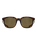 Bauhi Sunglasses in Tortoise Matte Black