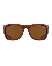 The Sinner Sunglasses Zuni Sunglasses in Matte Tortoise Brown, Matte Black & Sintec Brown