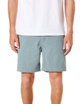 Kenneth Walkshorts in Lago