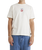The RVCA Mens Charmer T-Shirt in Antique White