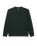 Seaside Sweatshirt in Evergreen