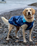 The Dryrobe Dog Dryrobe in Blue Camo & Blue | Available at Anns Cottage