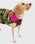 The Dryrobe Dog Dryrobe in Camo & Pink