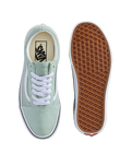 Old Skool Shoes in Colour Theory Grey Olive