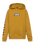Boys Boxed Hoodie in Harvest Gold