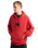 EMEA Stretch Logo Hoodie in Crimson Haze