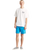 Palm Drive T-Shirt in White