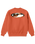 The Vans Boys Boys Bevel Flame Sweatshirt in Flame