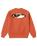 The Vans Boys Boys Bevel Flame Sweatshirt in Flame